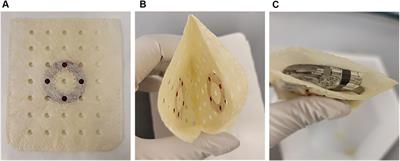 Preclinical evaluation of a novel antibiotic-eluting BioEnvelope for CIED infection prevention